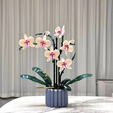 Transform Your Space into a Serene Oasis